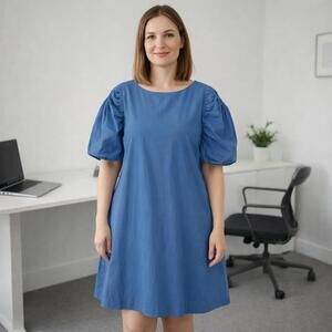 Lafayette 148 dress large L blue puff sleeve beachy office business career